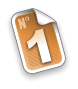 1 N
